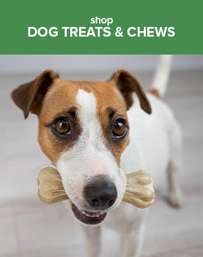Dog Treats & Chews